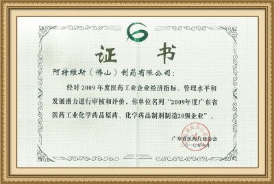 2009廣東省製造20強企業